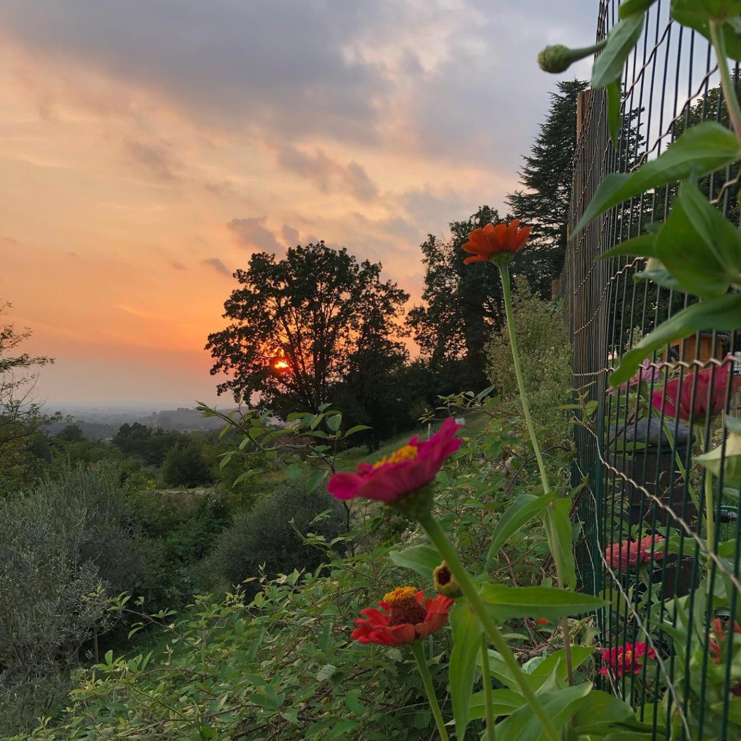 Bed and Breakfast La Casita Eco Country House Faedis Exterior foto